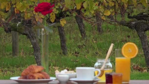 Französisches Frühstück auf Weinbergen Hintergrund, - Filmmaterial, Video