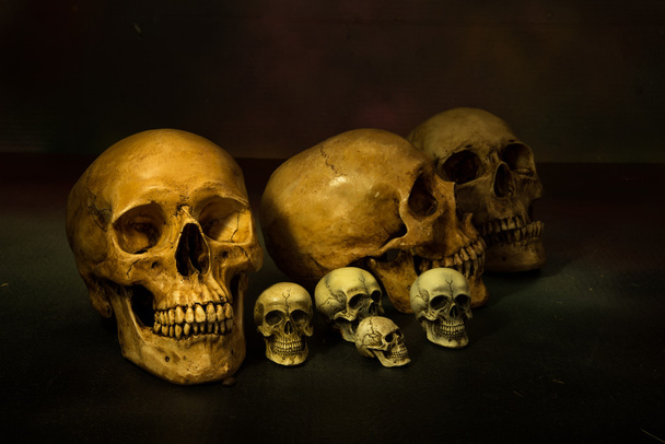 Nature morte peinture photographie avec des crânes humains
 - Photo, image