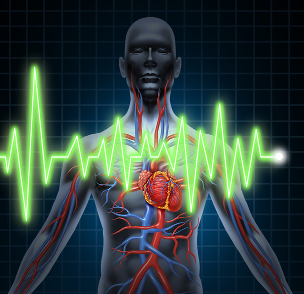 ECG and EKG Cardiovascular System - Fotoğraf, Görsel
