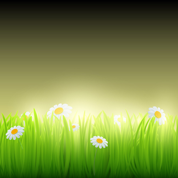 grama verde com flores. - Vetor, Imagem