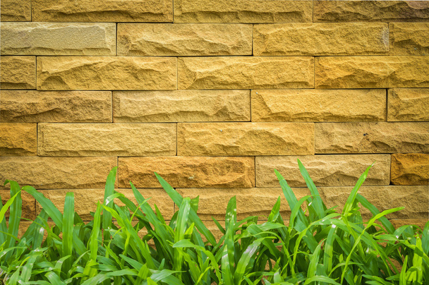τοίχος από τούβλα με πράσινο γρασίδι - Φωτογραφία, εικόνα