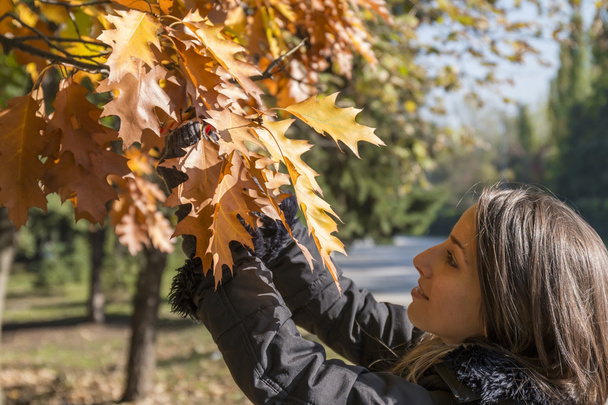 Mujer joven juega con ramas con hojas de otoño
 - Foto, Imagen