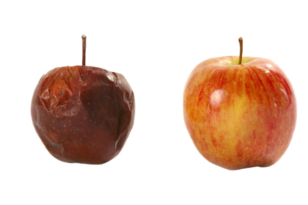 zgniłe jabłka i świeżego jabłka - Zdjęcie, obraz
