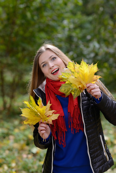 Beautiful  woman with Maple leaves - Photo, Image