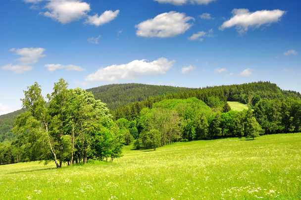 Spring landscape in Czech Republic - Foto, afbeelding