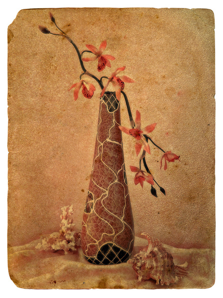 Νεκρή φύση με orchid. παλιά καρτ-ποστάλ. - Φωτογραφία, εικόνα