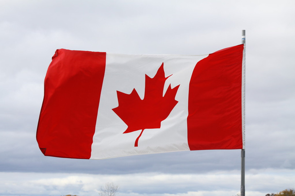 Bandeira do Canadá - Foto, Imagem