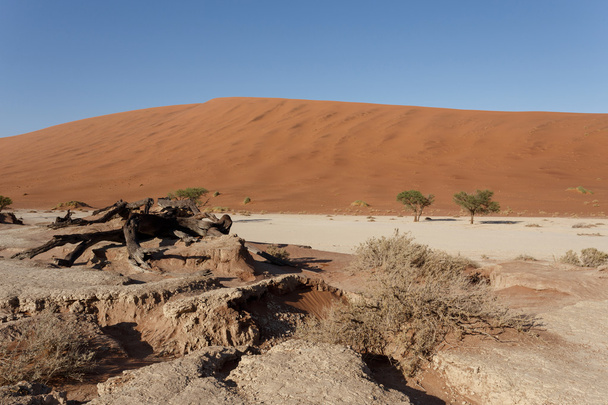 bela paisagem de Vlei escondido no deserto do Namib panorama - Foto, Imagem