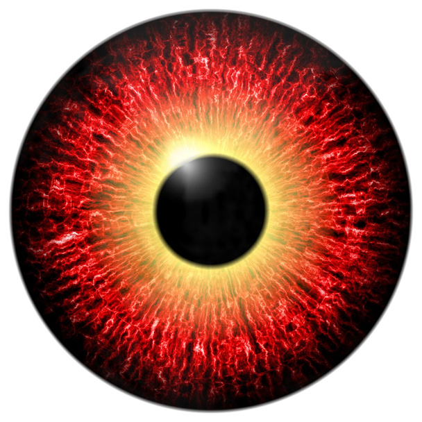 isoliertes rotes Auge - Foto, Bild