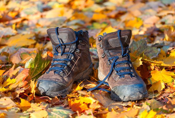 Botas de caminhada, bem desgastadas e lamacentas no chão da floresta
 - Foto, Imagem