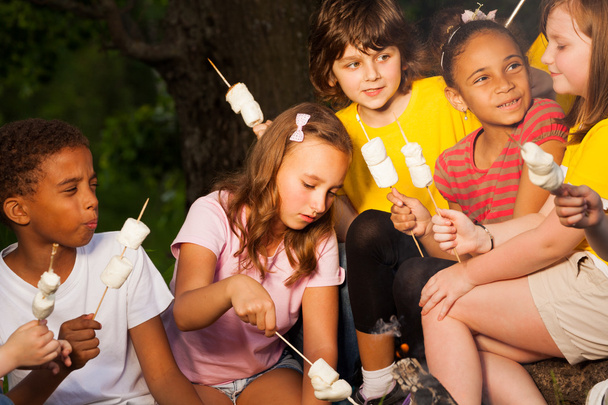 Kids with campfire treat during camping - Foto, immagini