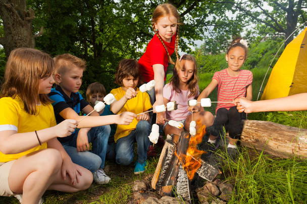 Kids sitting near bonfire with marshmallow - Photo, image