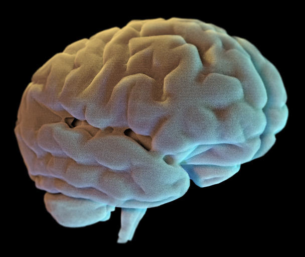 人間の脳のイラスト - 写真・画像
