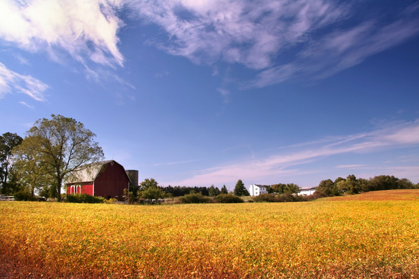 paisaje de granja
 - Foto, imagen