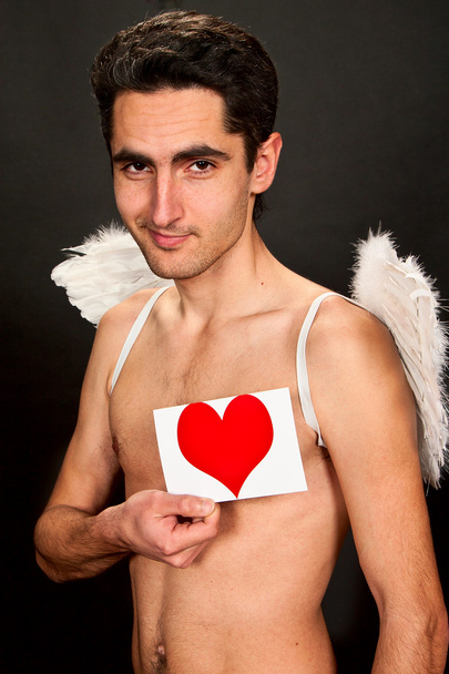 Glamour man with white wings. - Foto, immagini