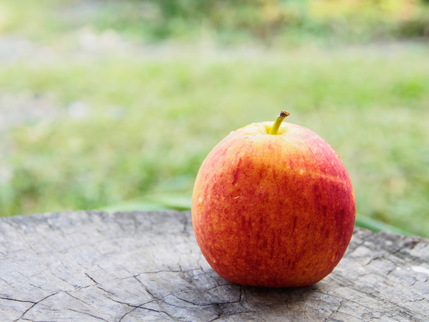 Jeden owoc jabłko - Zdjęcie, obraz