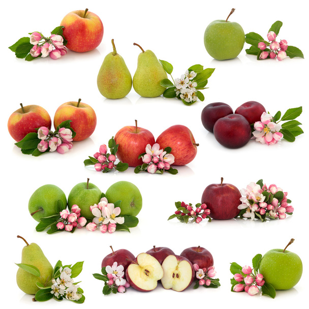 Recogida de frutas
 - Foto, imagen