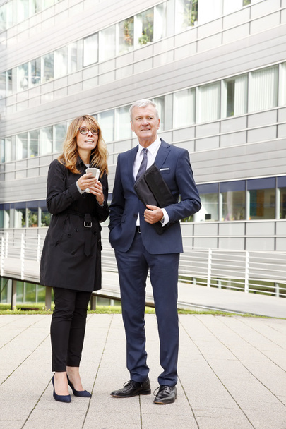 Businesswoman  consulting with professional man - Foto, Bild