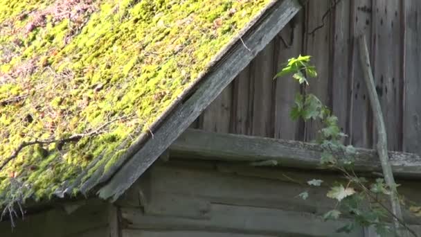 Staré dřevěné stodole s mechem střechou v krajině - Záběry, video