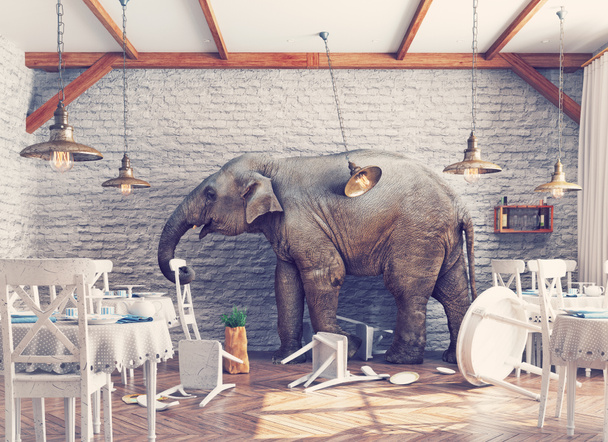 L'elefante in un ristorante
 - Foto, immagini