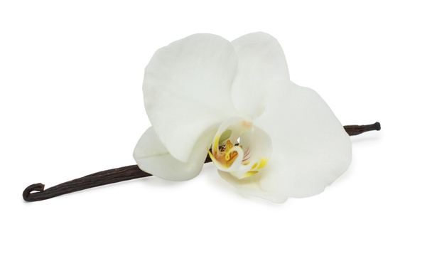 Vanilleschoten und mit weißer Orchidee isoliert - Foto, Bild
