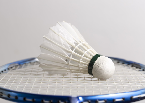 Shuttlecock on Badminton Racket - Fotografie, Obrázek