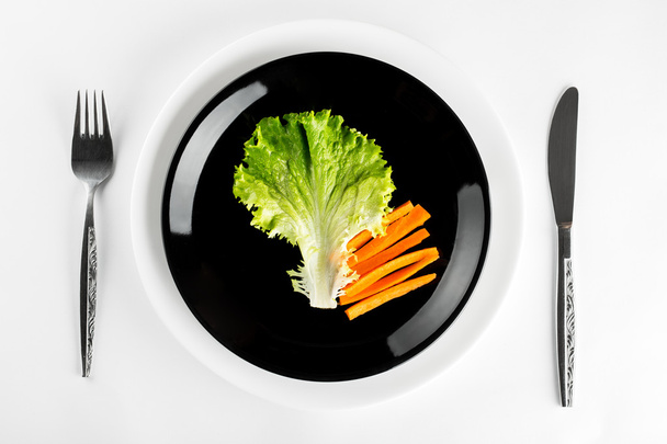 Bio-Mahlzeit im Teller isoliert auf weißem Hintergrund - Foto, Bild