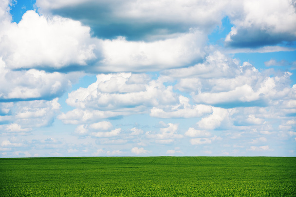 Yeşil çimenli çayır ve bulutlu mavi gökyüzü - Fotoğraf, Görsel