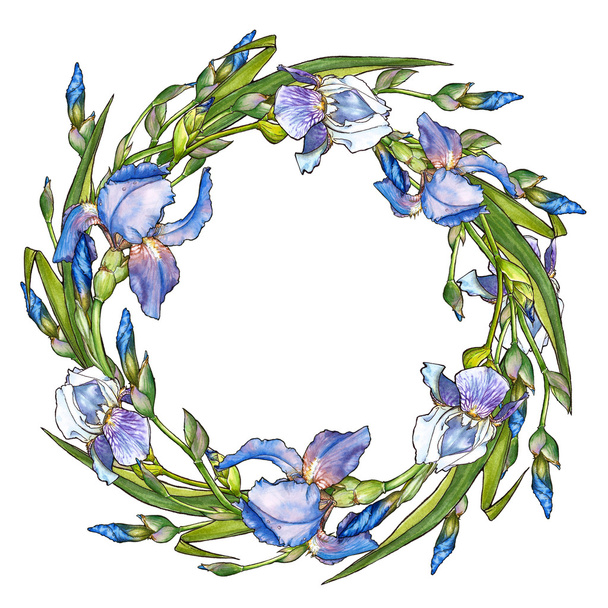 wreath with irises - Foto, afbeelding