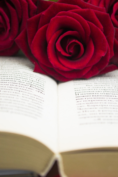 El libro abierto y rosas rojas. De cerca.
 - Foto, Imagen