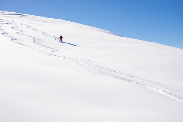 Фрірайдінг на свіжому порошковому снігу
 - Фото, зображення