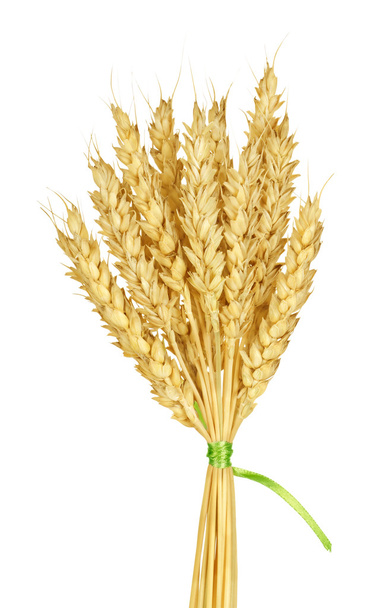 Пшеничные стебли
 - Фото, изображение