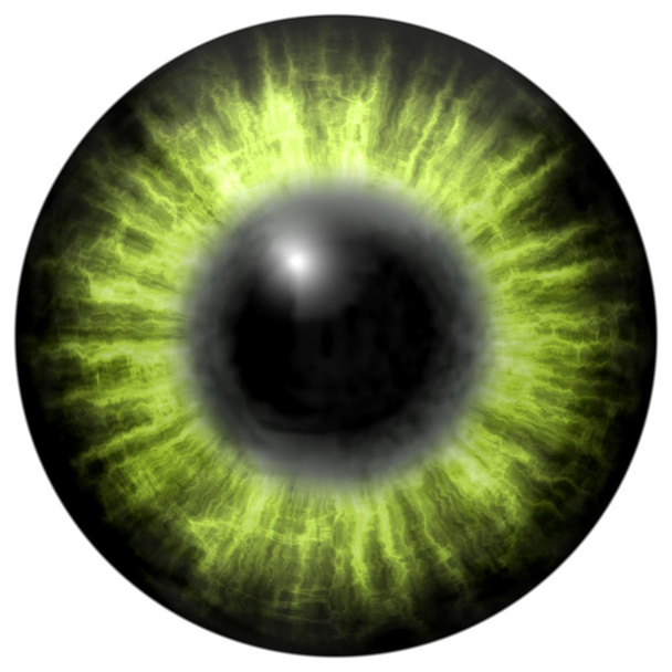 hellgrünes menschliches Auge mit mittlerer Pupille und dunkler Netzhaut. dunkel bunte Iris um die Pupille, Detailblick in die Augenlampe. - Foto, Bild
