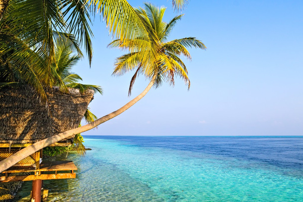 Nézd a trópusi hotel Ranveli, Maldív-szigetek - Fotó, kép