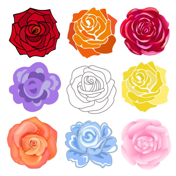 Varicolored roses set - Vector, Image