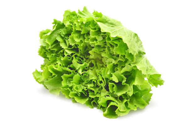 Elszigetelt saláta saláta - Fotó, kép