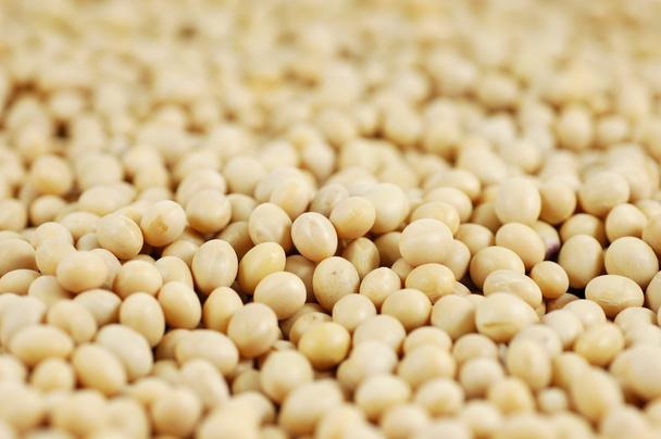 Close up of soy beans - Foto, Imagem