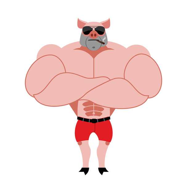 Strong pig bodybuilder with huge muscles. Farm animal athlete. P - Vector, Image