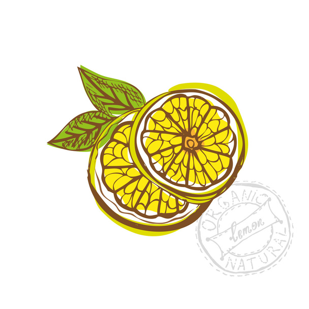 рука намальовані лимонні фрукти
 - Вектор, зображення