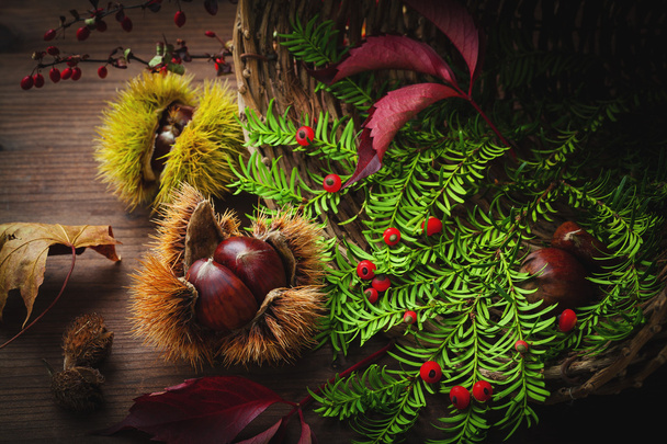 fruits and autumn vegetation - Foto, Bild