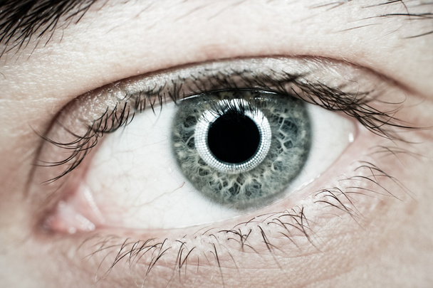 Modré oko - Fotografie, Obrázek