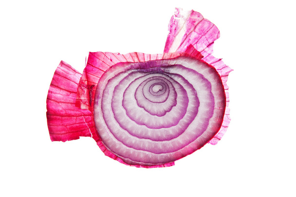 Red onion - Фото, изображение