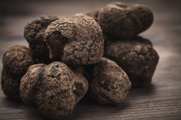 mushroom black truffle - Photo, Image