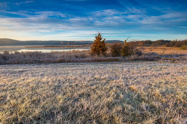 Осеннее морозное утро на лугу
 - Фото, изображение