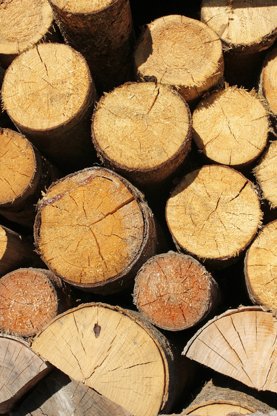 madera troncos fondo - Foto, imagen