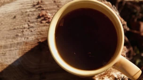 Ένα φλιτζάνι τσάι σε ένα κούτσουρο - Πλάνα, βίντεο