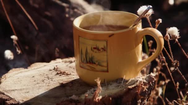 A cup of tea on a stump - Footage, Video