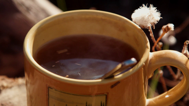 Šálek čaje na pařezu - Záběry, video