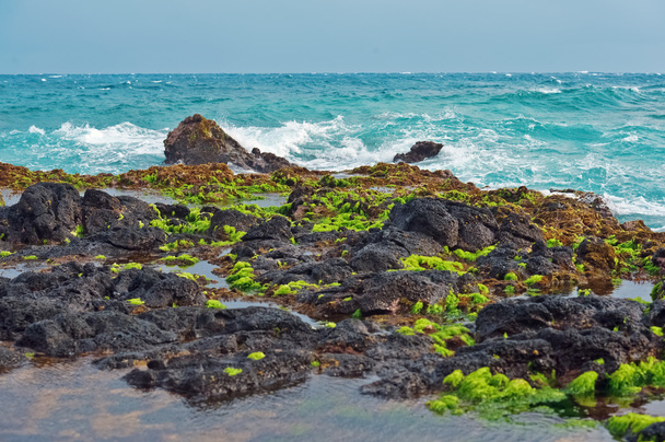 Мауї берегової лінії лави порід Гаваї острови - Фото, зображення