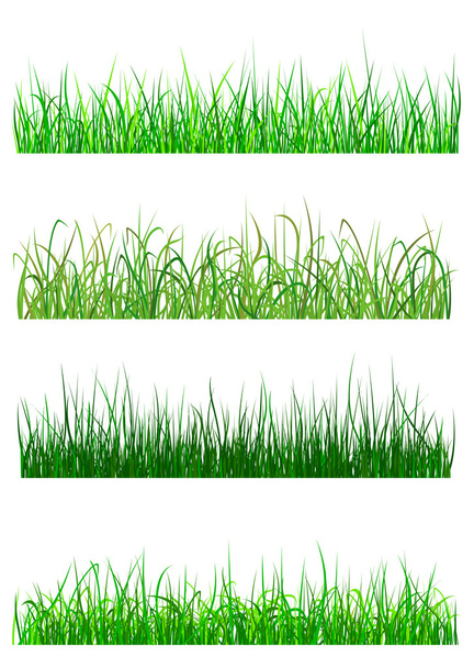 Field and meadow grass patterns - Vector, Image